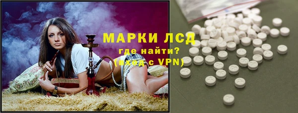 СК Аркадак